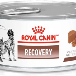 ROYAL CANIN Ração Lata Canine E Feline Recovery Wet 195G