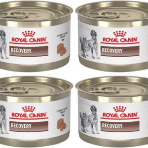 KIT Royal Canin Recovery Ração Recuperação para Cão e Gato